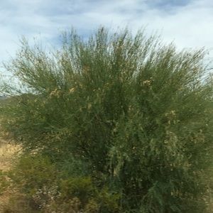 Meet your Posher, Austin